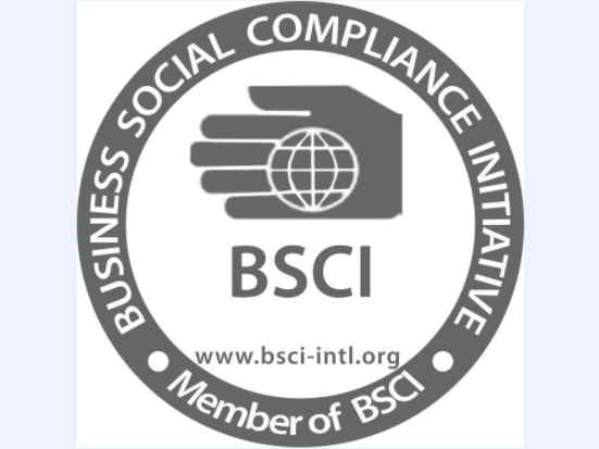 BSCI認(rèn)證是什么意思？BSCI認(rèn)證費用(圖1)